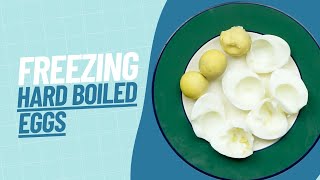 How to Freeze HardBoiled Eggs  Our Guide to Freezing HardBoiled Eggs [upl. by Ainuj]