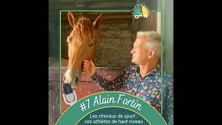 Alain Fortin  Les chevaux de sport  ces athlètes de haut niveau [upl. by Enyrb]