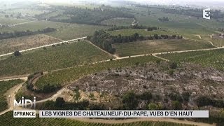 VUE DEN HAUT  Les vignes de ChâteauneufduPape [upl. by Wesla]