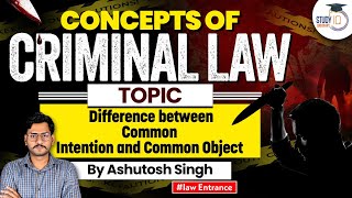 Difference Between Common Intention and Common Object  Concepts under Criminal Law [upl. by Aerehs]