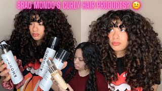 DOES XMONDO WAVETECH WAVE SYSTEM WORK ON CURLY HAIR 2c3a3b curls [upl. by Eciralc]