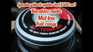 REVIEW SPEAKER BLACK SPIDER BS 15500 M9 [upl. by Ashley959]