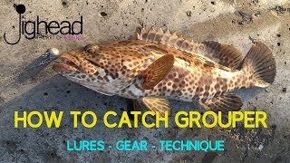 How to catch GROUPER Hamour on shore  Rock fishing guide [upl. by Serge882]