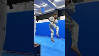 AMAZING TAEKWONDO KICKS [upl. by Fisuoy]