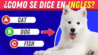 🧠TEST DE INGLES  Nivel Fácil  Reto de Inglés Básico 🔥¡Solo los Mejores Acertarán 💪 [upl. by Maryellen]