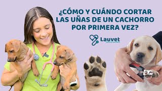 ¿CÓMO CORTAR LAS UÑAS DE UN CACHORRO POR PRIMERA VEZ  Lauvet [upl. by Asiruam]