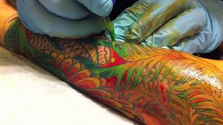 Phoenix Tail feathers Tattoo Colour session [upl. by Berliner823]