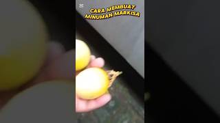 Cara membuat minuman markisa shorts markisa KrwTV [upl. by Naara]