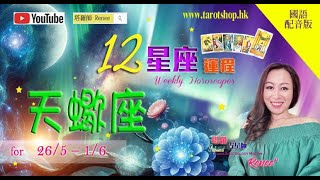 2024年12星座运程♦天蝎座♏️265 – 16国语配音版♦亲密关系备受挑战♦寻创新及务实合作♦过分自我或弄巧反拙♦学适应新常规♦ 2024年星座｜十二星座运势周报｜🔮塔罗占星师 Renee [upl. by Ardnuasak836]