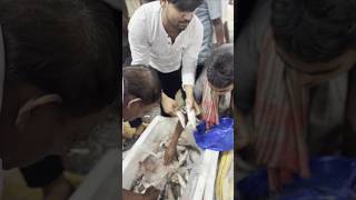 Tarli fish sales youtubeshorts tranding video virel fishvilog123 [upl. by Tybald]