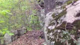 Beautiful Cliffs in Salyersville Kentucky [upl. by Chien204]