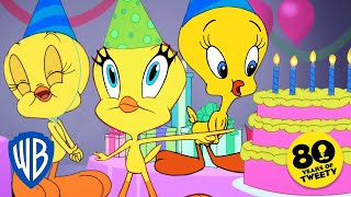 Looney Tunes  Happy Birthday Tweety💛🎂  WB Kids [upl. by Tansy]