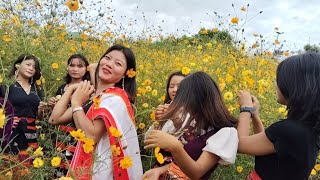 zeme ne Heleu Yilang Video cover by HAA Warden and students Singer Ngamlu Kuamezeliangrongpui [upl. by Evilc]