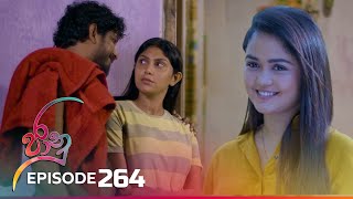 Jaanu  Episode 264  20240228  ITN [upl. by Darrey]