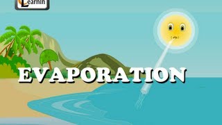 Evaporation  Elementary Science [upl. by Alvita]