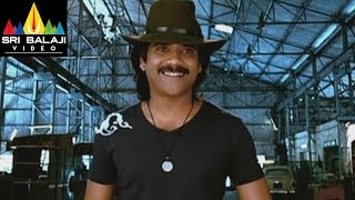 Style Movie Nagarjuna Action Scene  Lawrence Prabhu Deva  Sri Balaji Video [upl. by Bibby230]