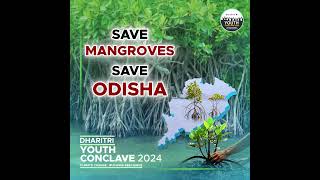 Save Mangroves 🌱 Save Odisha Dharitri Youth Conclave 2024 I ClimateAction 2rNOdisha Dharitri [upl. by Nylodnarb745]