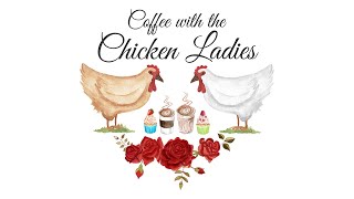 Episode 75  Hedemora Chicken  Failure to Thrive in Chicks  Ultra Rare Breeds with Kate Whyld [upl. by Skolnik]