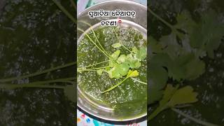 ସୁଆଦିଆ ଧନିଆପତ୍ର ଚଟଣୀDhania Chutney in odia Coriander Leaves Chutney Quick Chutney recipe [upl. by Grindlay816]