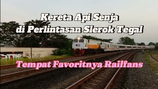 Hunting Kereta Api Senja Melintas di Perlintasan Kereta Api Tegal Perlintasan Sebidang di Slerok [upl. by Corenda]