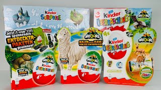 Распаковка старых Киндеров Натунс Old Kinder Surprise Natoons Unboxing [upl. by Gasparo827]