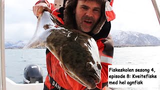 Fiskeskolen sesong 4 episode 8 Kveitefiske med hel agnfisk [upl. by Fernandez]