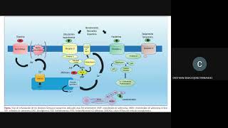 Farmacología en Cardiologia VASOACTIVOS INOTRÓPICOS y ANTIARRÍTMICOS [upl. by Poler981]