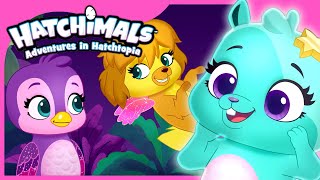 Over 1 Hour of Hatch Bright Adventures  Hatchimals  Cartoons for Kids [upl. by Yorgos]