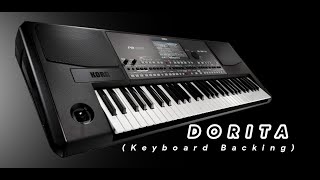 DORITA  karaoke Keyboard Backing By Natz JV [upl. by Acina]