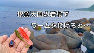 1投目から根魚が釣れ続くすごい海での釣りの話【車中泊釣り旅北海道編・第10話】 [upl. by Ozneral378]