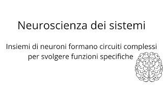 Introduzione alle Neuroscienze [upl. by Timoteo446]