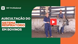 Semiologia veterinária Auscultação do Sistema Respiratório [upl. by Ettennek]