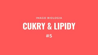 Cukry i lipidy [upl. by Elata862]