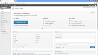 How to Remove Wordpress Search Box [upl. by Ohaus344]