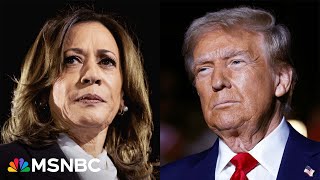 Undecideds Independents even some GOP voters turned off by Trumps rhetoric Harris adviser [upl. by Rossy]