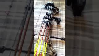 What types of bow sights do you like mathews bowtech threadz gas shrewd spot Hogg [upl. by Renrut]