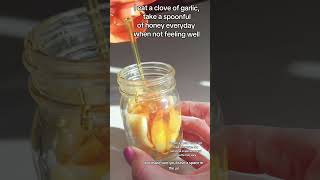 Fermented garlic and honey naturalremedy [upl. by Chev]