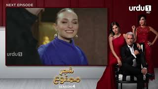 ShajareMamnu  Episode 344 Teaser  Turkish Drama  Forbidden Fruit  Urdu Dubbing  4 April 2022 [upl. by Aivun]