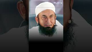 Molana Tariq Jameel new status 💯 [upl. by O'Malley943]