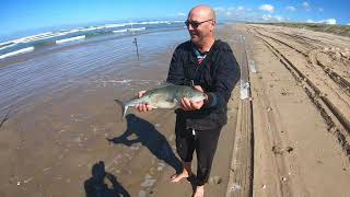 Big Australian Salmon and Flathead off Goolwa Beach [upl. by Haiel728]