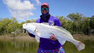 A Massive Jewfish  15 Species Challenge [upl. by Florio]