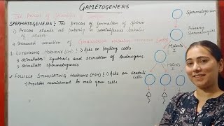 GAMETOGENESIS HUMAN REPRODUCTION CLASS 12 [upl. by Therron]