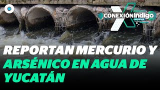 Alertan por casos de cáncer debido a contaminación del agua en Yucatán  Reporte Indigo [upl. by Schecter]