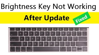 How to fix Screen Brightness Keys Not Working After Update  Hp laptop brightness keys not working [upl. by Adnerb]