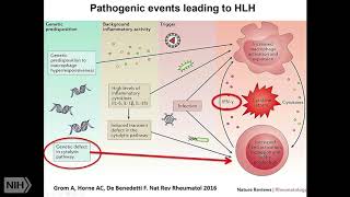 CytokineTargeted Therapies in MAS and HLH [upl. by Lewin]