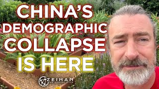 New Chinese Demographic Data  Population Collapse  Peter Zeihan [upl. by Aeht363]