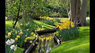 Visit Keukenhof Gardens from a Holland barge or river cruise [upl. by Kare]