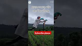 Tak ku dar kar ke ho 😍🌿\ sambalpuri status video  sambalpuri song shortvideo dance [upl. by Nenad]