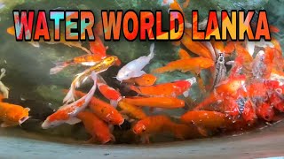 Water World Lanka 🇱🇰😍 Kelaniya Srilanka  RARE SPICES [upl. by Freedman]