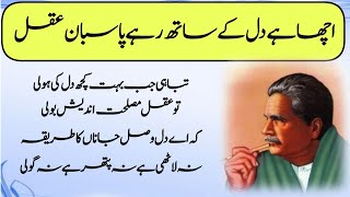 Best Wording Speech On Iqbal day  Iqbal day urdu speech [upl. by Karlan]